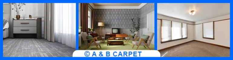 Carpet Cleaning Image One