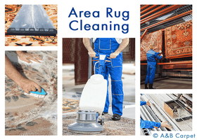 Rug Cleaning - Clinton Hill 11205